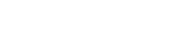 Risknet Logo