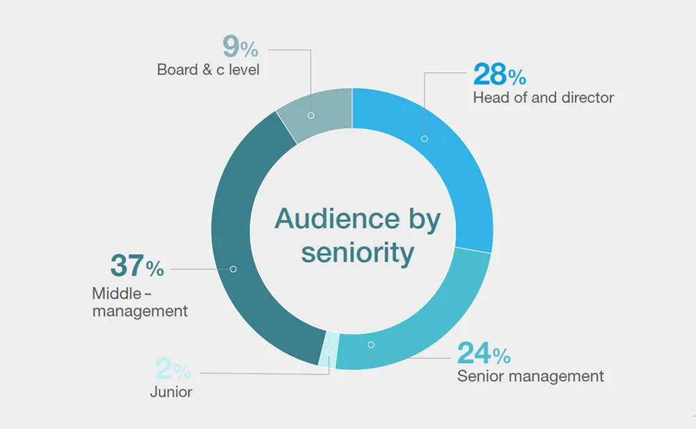 Buy-Risk Global - Audience by seniority